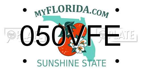 050VFE Florida License Plate