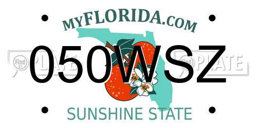 050WSZ Florida License Plate