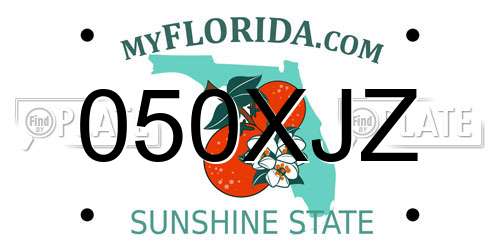 050XJZ Florida License Plate