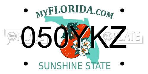 050YKZ Florida License Plate