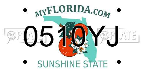 0510YJ Florida License Plate