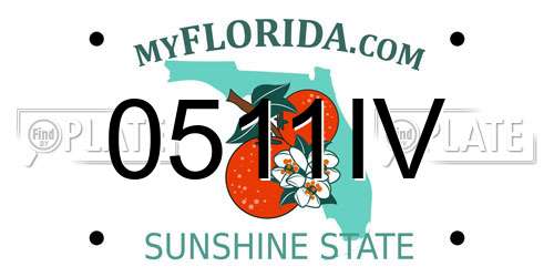 0511IV Florida License Plate