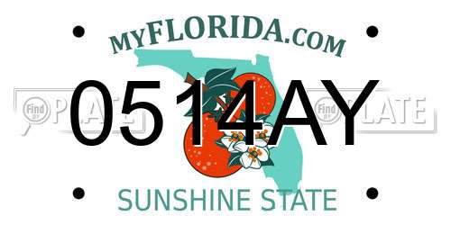0514AY Florida License Plate
