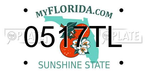 0517TL Florida License Plate