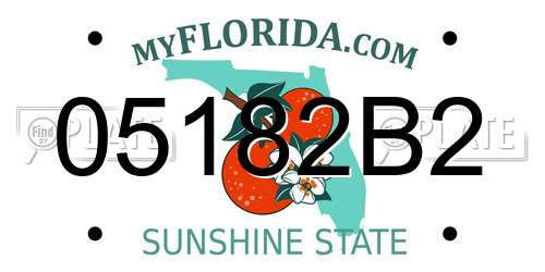 05182B2 Florida License Plate