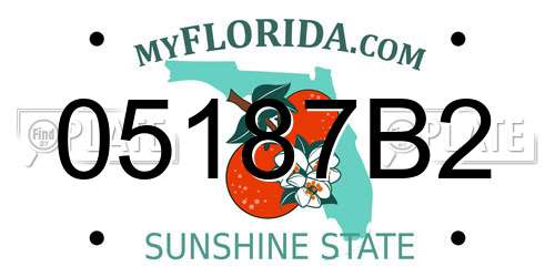 05187B2 Florida License Plate