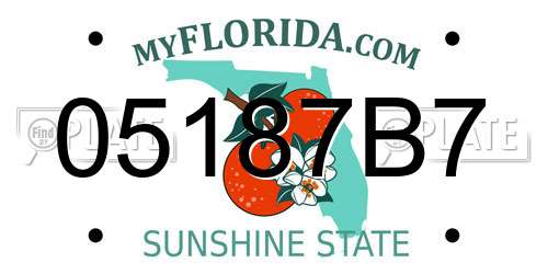 05187B7 Florida License Plate