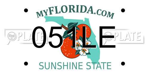 051LE Florida License Plate