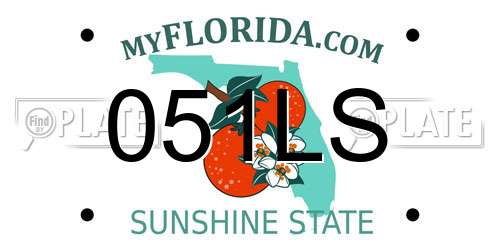 051LS Florida License Plate
