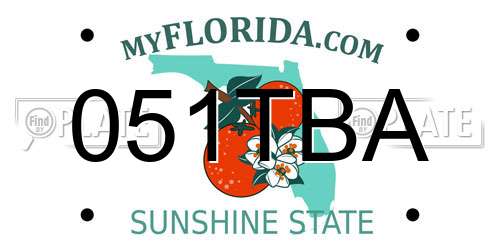 051TBA Florida License Plate