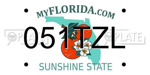 051TZL Florida License Plate