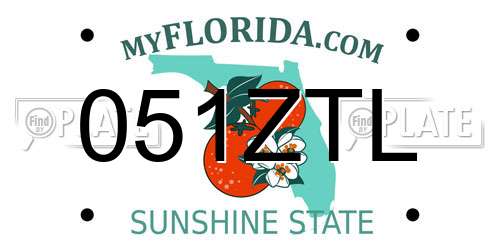 051ZTL Florida License Plate