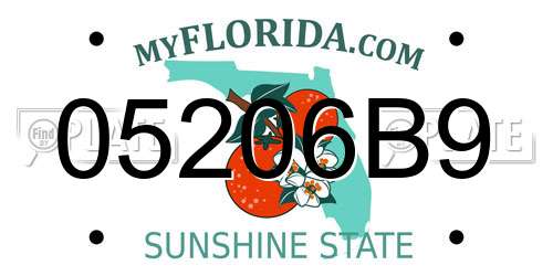 05206B9 Florida License Plate