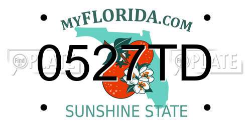 0527TD Florida License Plate