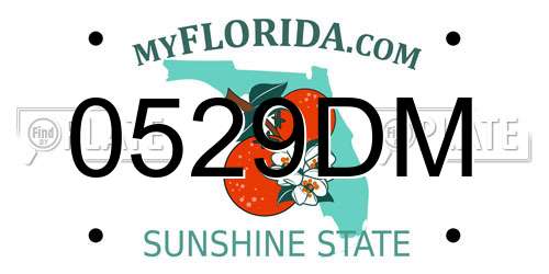 0529DM Florida License Plate