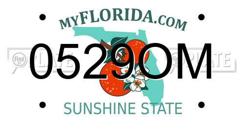 0529OM Florida License Plate