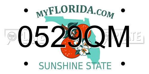 0529QM Florida License Plate