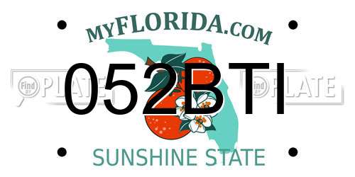 052BTI Florida License Plate