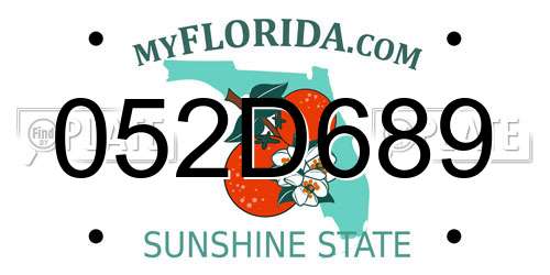 052D689 Florida License Plate