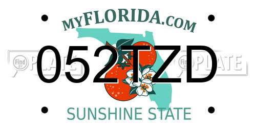 052TZD Florida License Plate