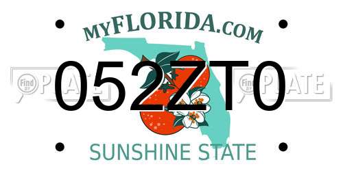 052ZT0 Florida License Plate