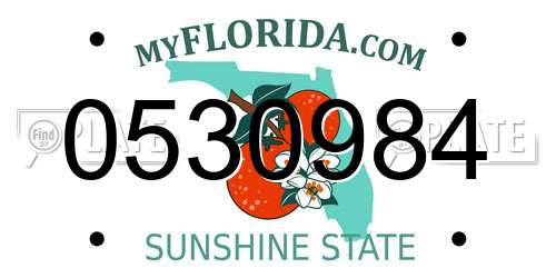 0530984 Florida License Plate