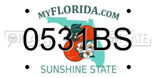 0531BS Florida License Plate