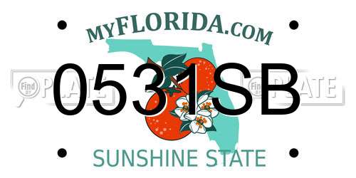 0531SB Florida License Plate