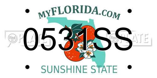0531SS Florida License Plate