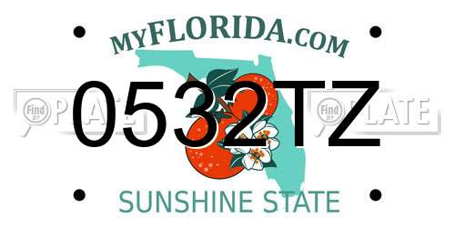 0532TZ Florida License Plate