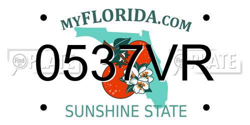 0537VR Florida License Plate