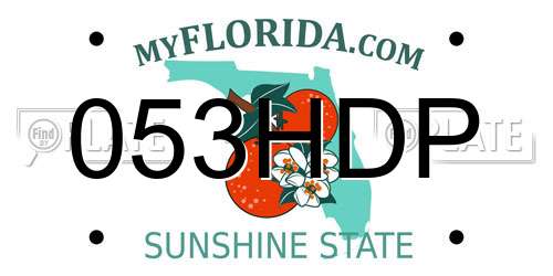 053HDP Florida License Plate