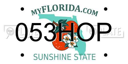 053HOP Florida License Plate