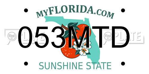 053MTD Florida License Plate