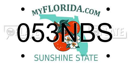 053NBS Florida License Plate