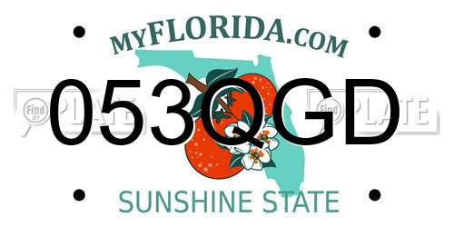 053QGD Florida License Plate