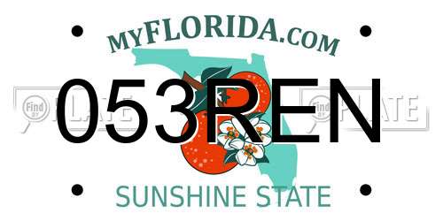 053REN Florida License Plate