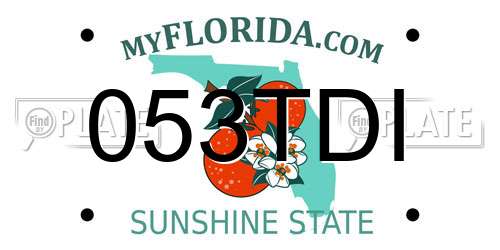 053TDI Florida License Plate