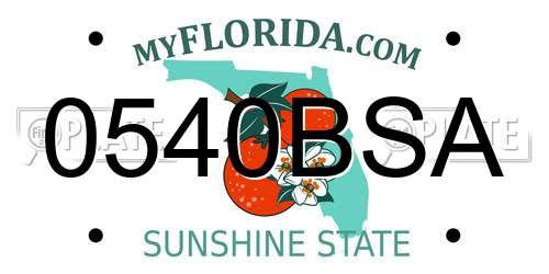 0540BSA Florida License Plate