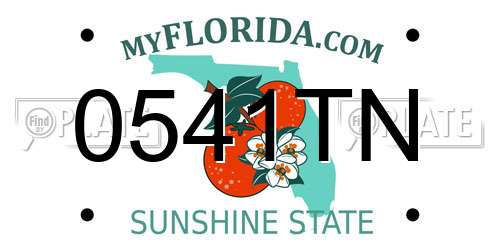 0541TN Florida License Plate