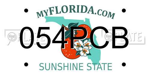 054PCB Florida License Plate