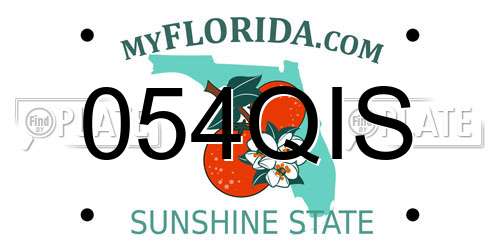 054QIS Florida License Plate
