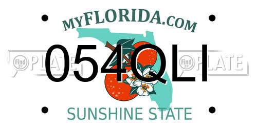 054QLI Florida License Plate