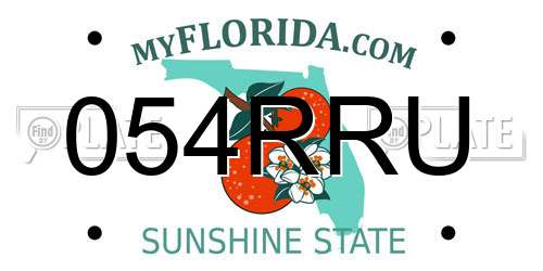 054RRU Florida License Plate