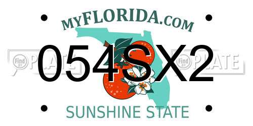 054SX2 Florida License Plate