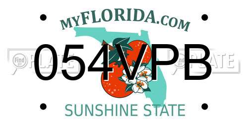 054VPB Florida License Plate