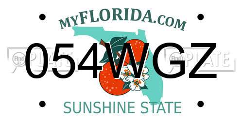 054WGZ Florida License Plate