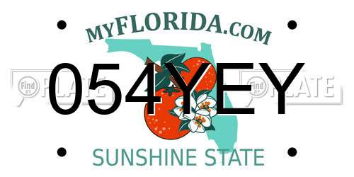 054YEY Florida License Plate