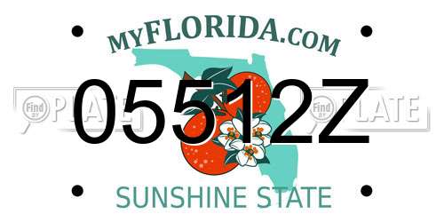 05512Z Florida License Plate