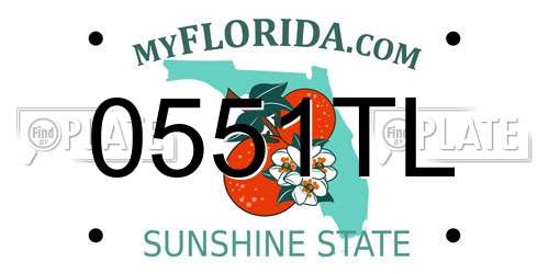 0551TL Florida License Plate